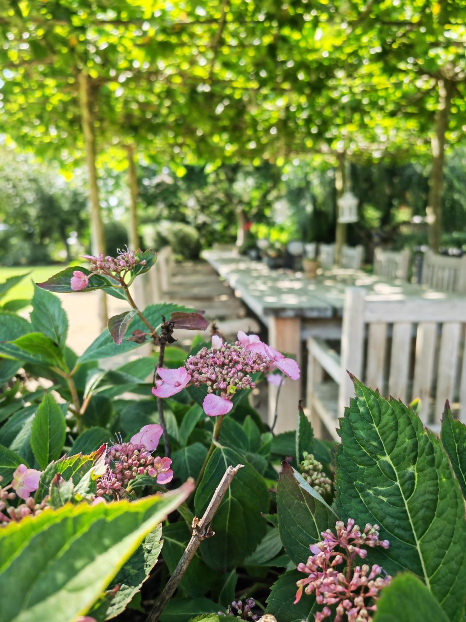 Kleiner Koenig Guest house 3*